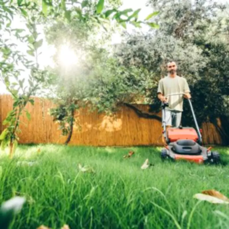 Free 'Penguin Walk' Trick Transforms Patchy Lawns into Lush Green Grass