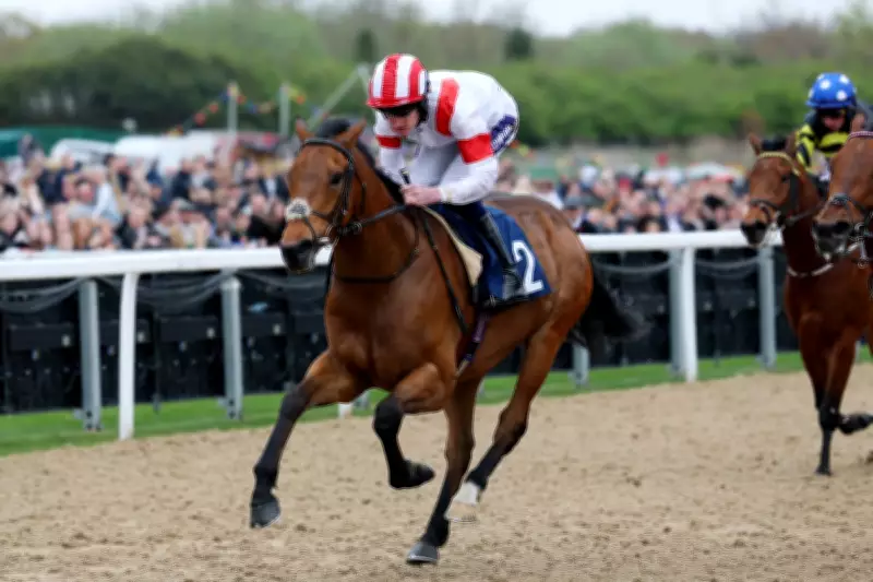 Friday Horse Racing Tips: Best Bets for Newcastle's All Weather Championships