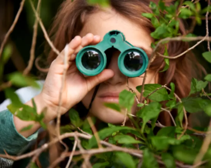 From Pokémon to Birdwatching: How a Childhood Obsession Evolved into a Lifelong Hobby
