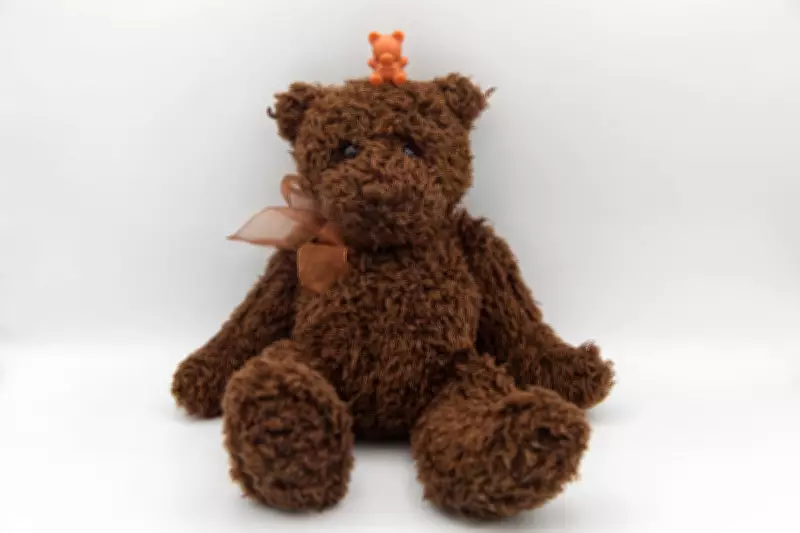 From Raggedy Toy to Childhood Icon: The Enduring Legacy of the Teddy Bear