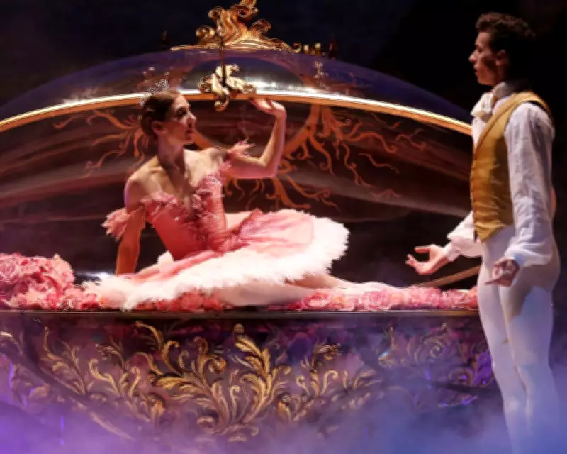 From Stage to New Careers: Ballet Dancers Share Their Paths