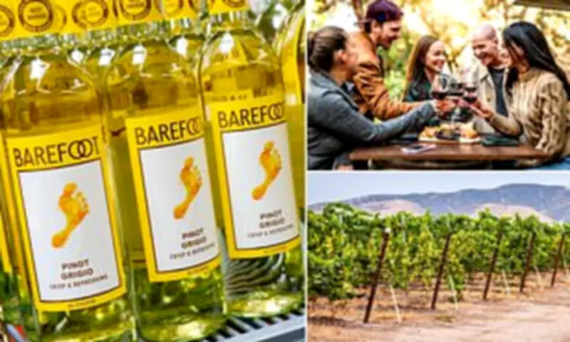 Gallo Winery's $775M Bourbon Bet Amid Wine Industry Crisis