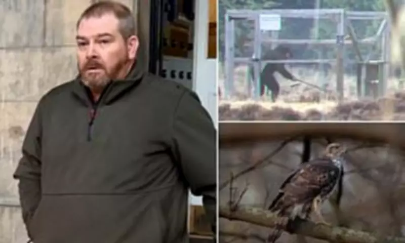 Gamekeeper who clubbed protected goshawk to death avoids jail