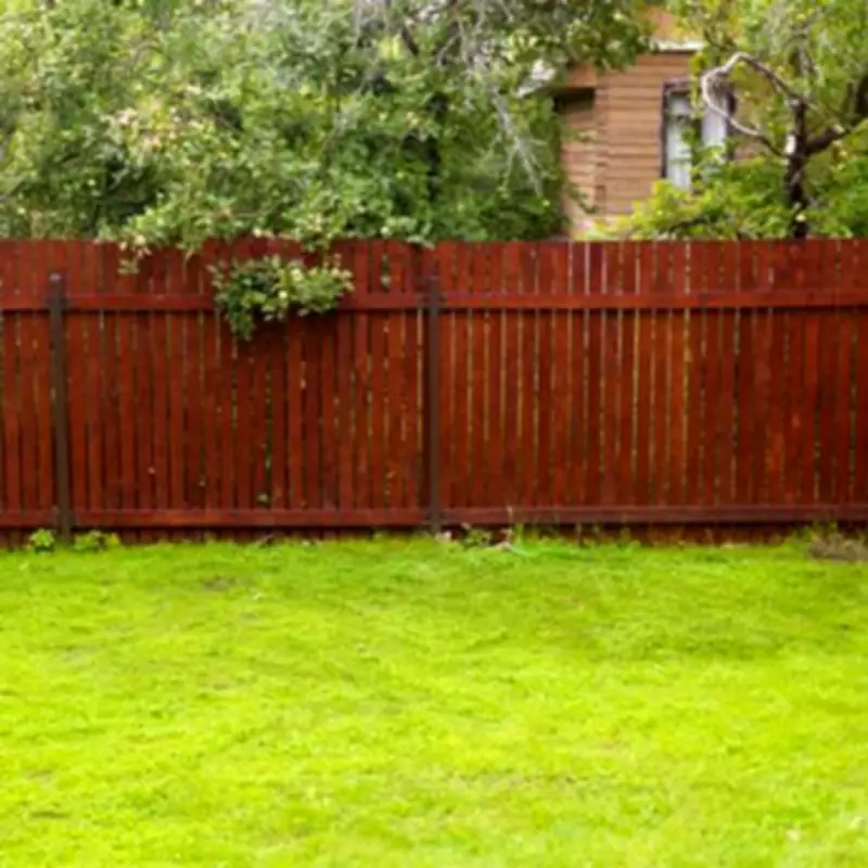 Garden Fence Maintenance: Experts Urge Key Task This Month to Prevent Damage