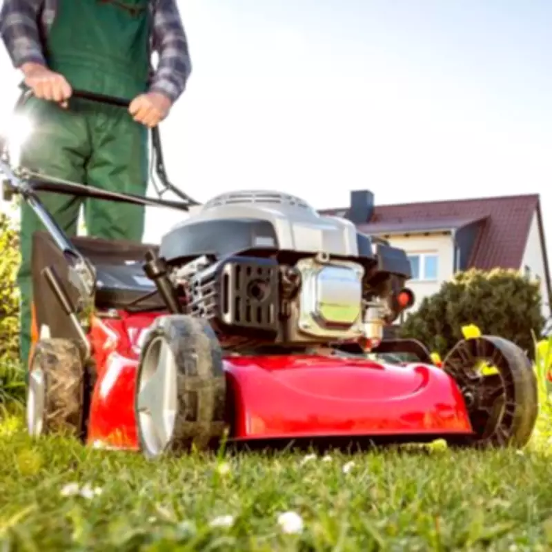 Gardeners Urged to Avoid Mowing Lawns Throughout May for Greener Grass