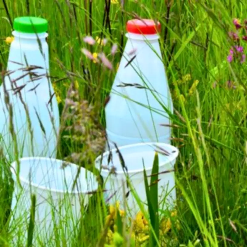 Gardeners Urged to Repurpose Milk Cartons as Bird Feeders This April