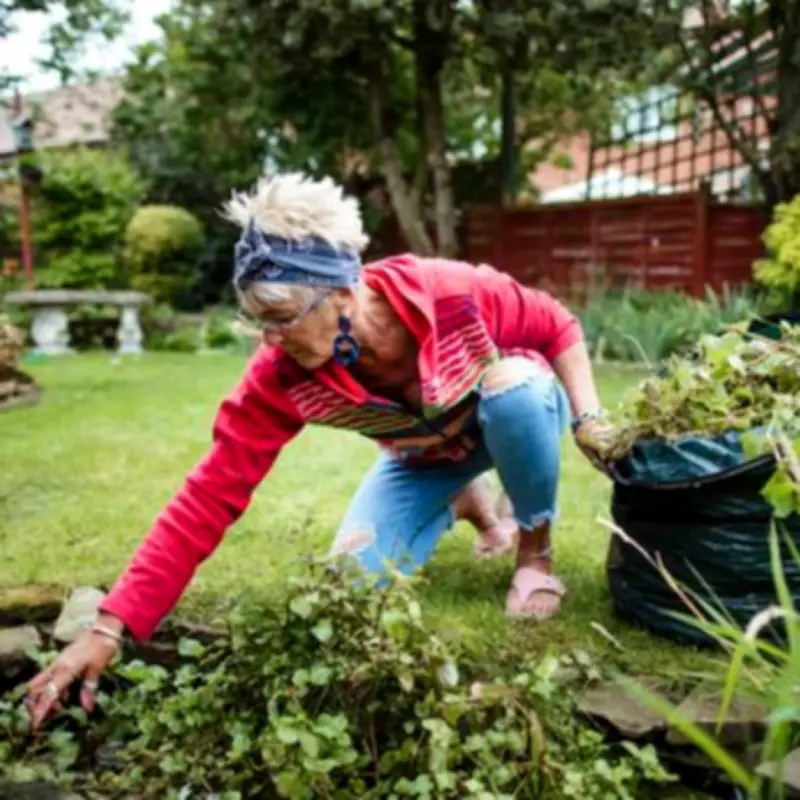 Gardening Expert Reveals Crucial Free Task for Lush April Gardens