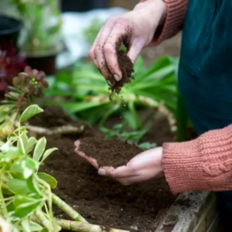 Gardening Expert Reveals One-Minute Layout Trick for Stunning Spring Gardens