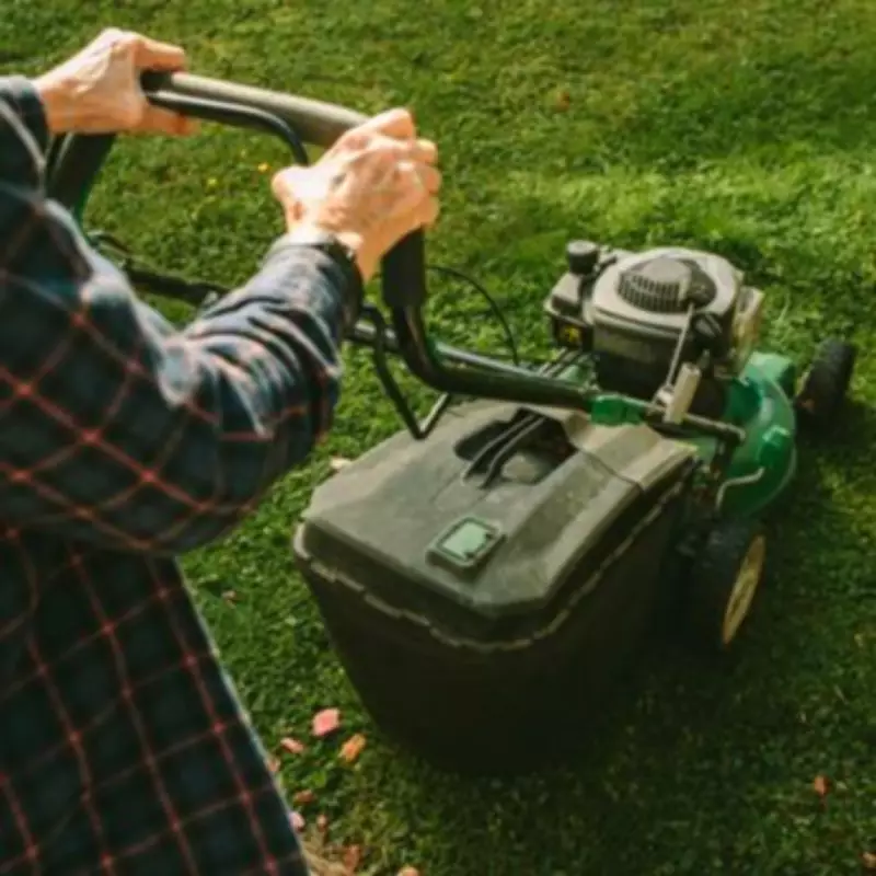 Gardening Expert Warns Against Common Lawn Mowing Mistake