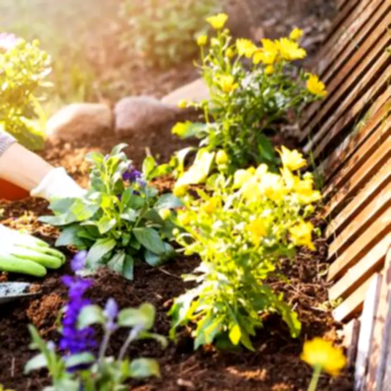 Gardening Expert Warns: Common Spring Mistakes That Can Kill Your Plants