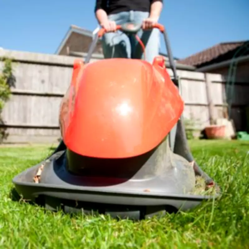 Gardening Experts Reveal Optimal Lawn Mowing Schedule From Spring to Autumn