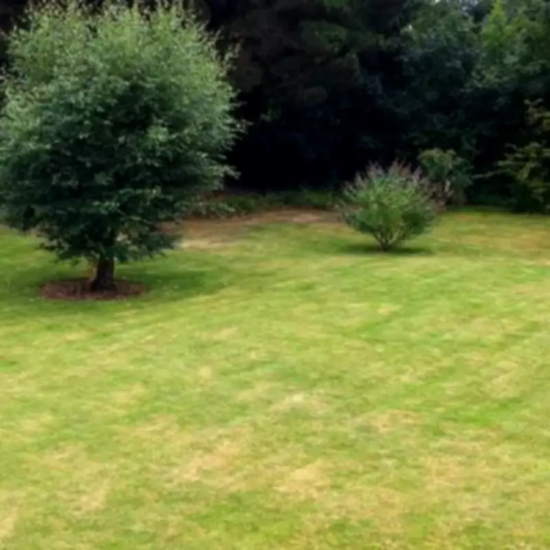 Gardening Experts Reveal Simple April Task to Fix Patchy Lawns Forever