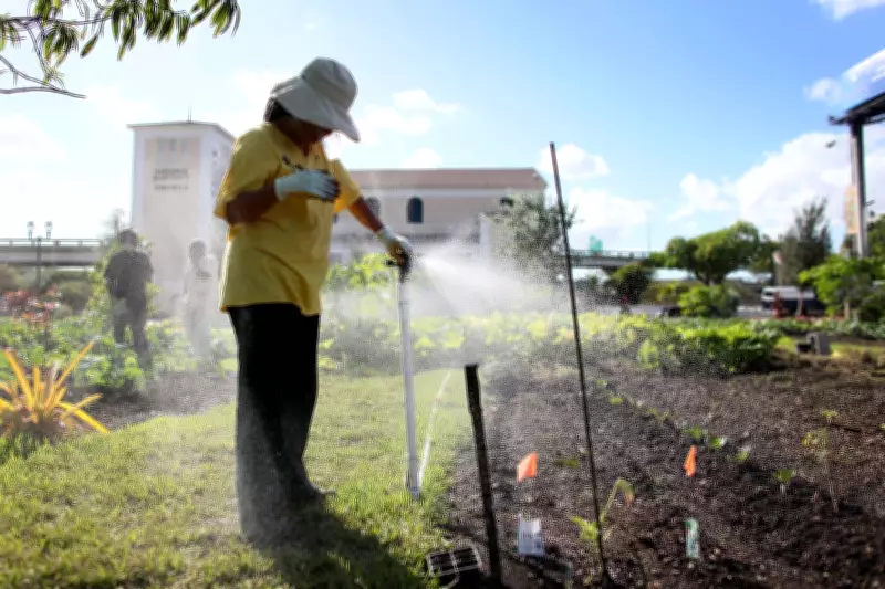 Gardening in Spring Boosts Brain Health and Burns 300 Calories Hourly