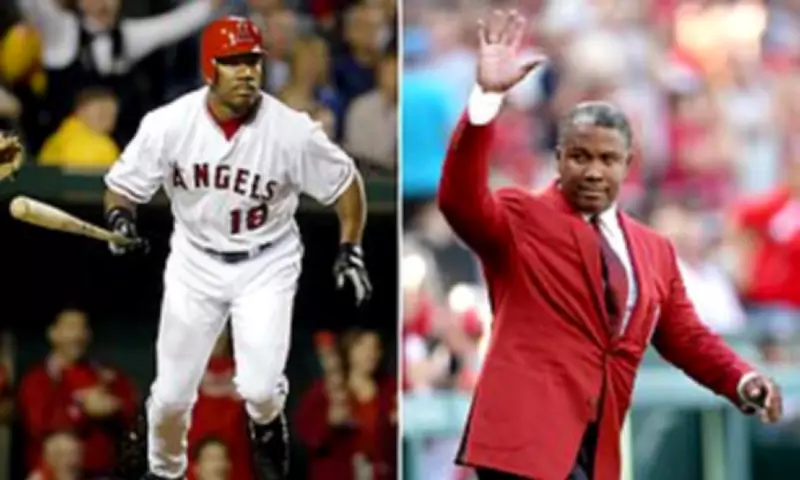 Garret Anderson Autopsy Reveals Enlarged Heart, Fatty Liver, and Kidney Issues