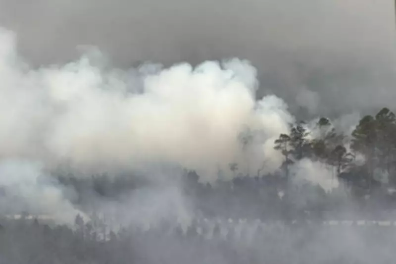 Georgia Wildfire Doubles in Size, Only 7% Contained