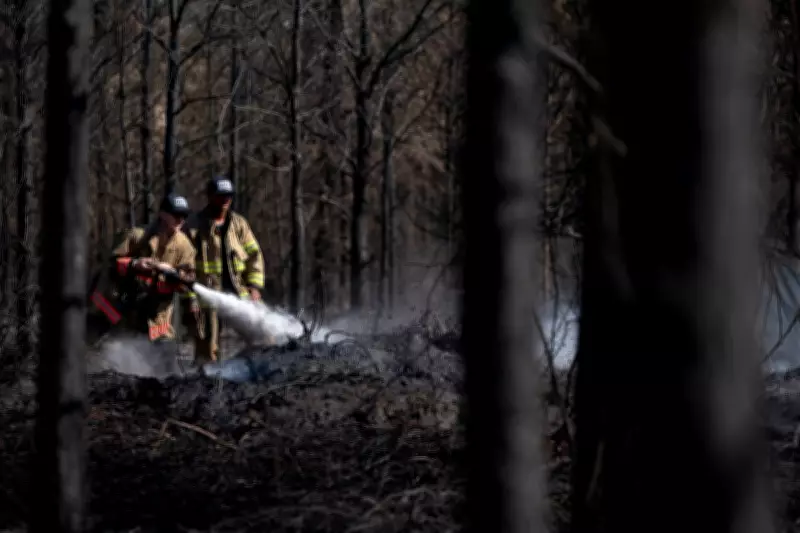 Georgia Wildfire Kills Firefighter, Destroys 120+ Homes