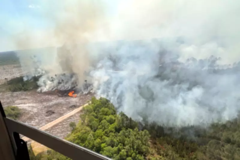 Georgia Wildfires Spread Uncontrolled, Destroying Over 120 Homes