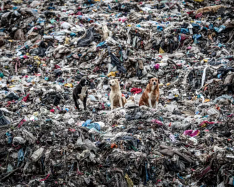 Germany Becomes World's Largest Exporter of Plastic Waste in 2025