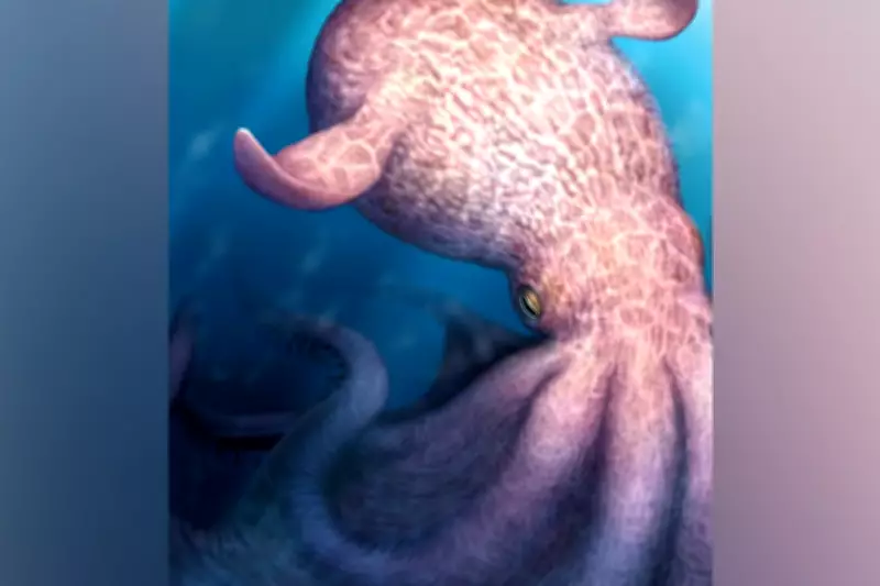Giant 'Kraken' Octopus Fossils Suggest Lorry-Sized Cephalopods