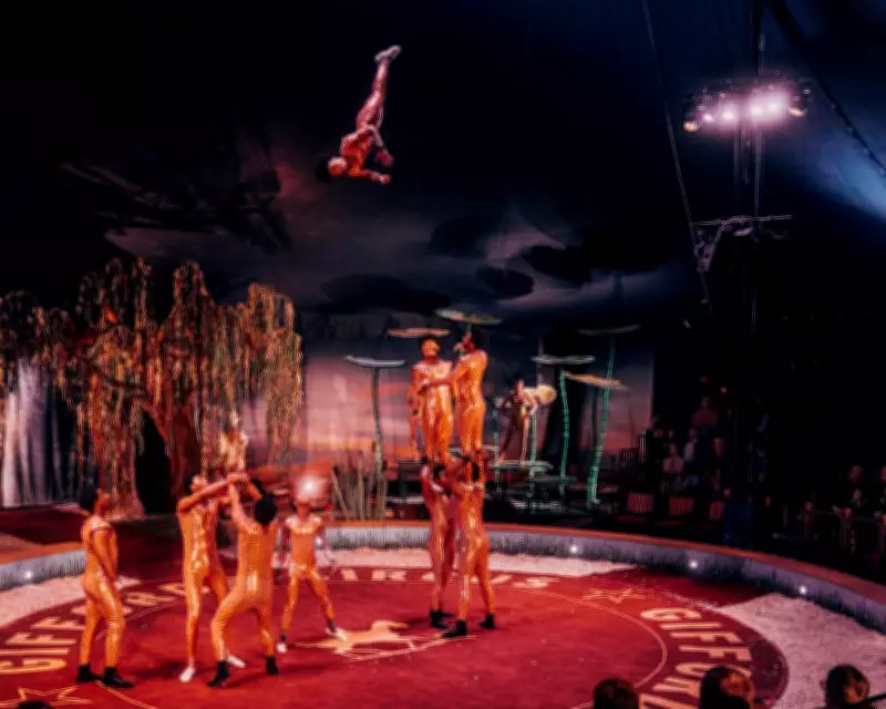 Giffords Circus Returns with Most Dangerous Show Yet: Waterfield