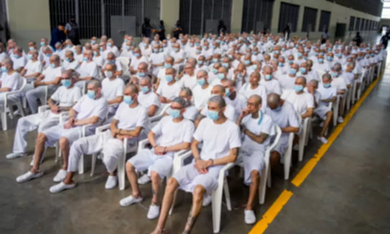 Global Photo Roundup: From Gang Hearings to Shinto Rituals