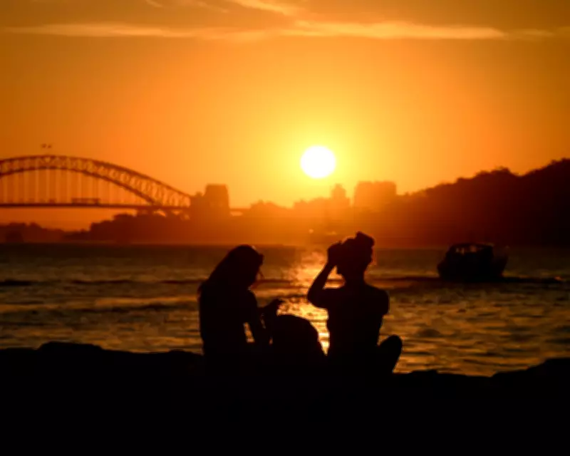 Global Snapshot: From Sydney Sunsets to a Missing Wolf in Daily Photos