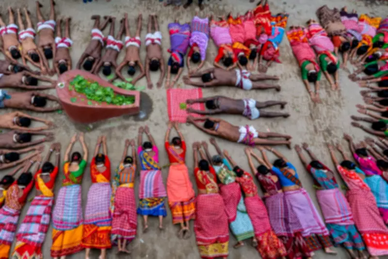 Global Snapshot: New Year Festivities, Baby Elephant Debut, and Global Events