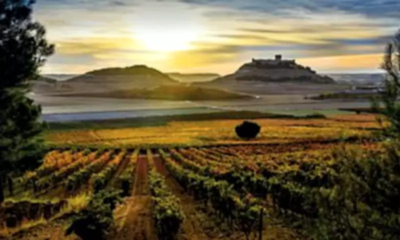 Global Wine Travel Awards Reveal 21 Must-Visit Wineries Worldwide