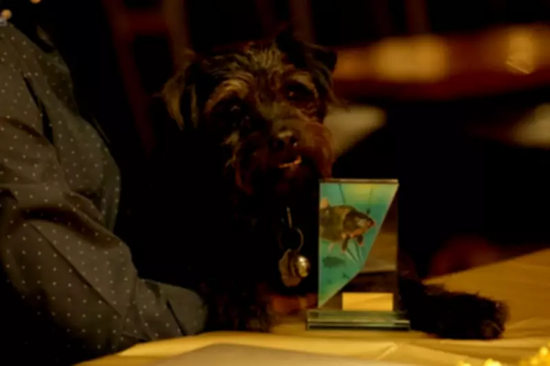 Gone Fishing Star Ted the Dog Dies at 15, Bob Mortimer and Paul Whitehouse Pay Tribute