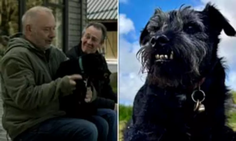 Gone Fishing's Beloved Dog Ted Dies at 13: A Tribute to His Funniest Moments
