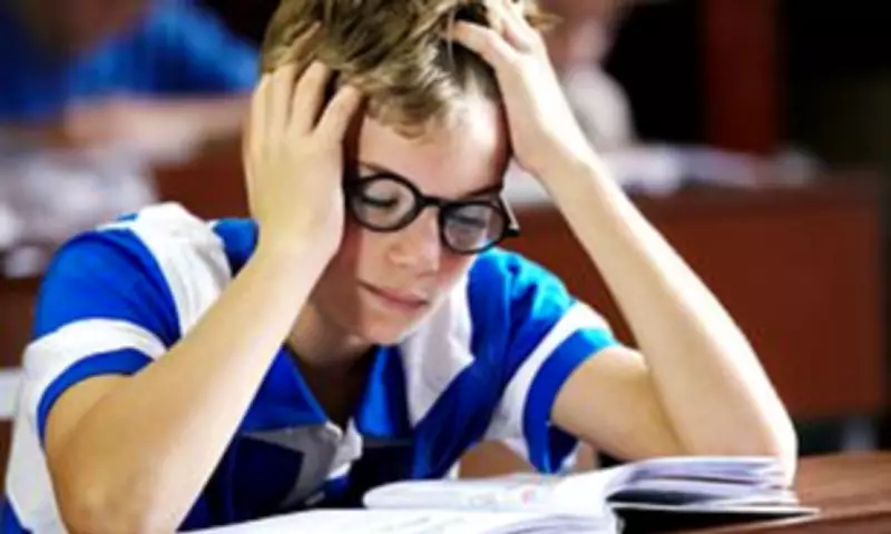 Government Inquiry Finds Children 'Incentivised' to Seek ADHD and Autism Diagnoses