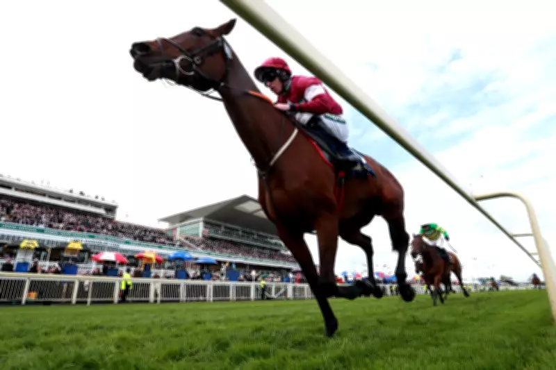 Grand National 2026 Betting Guide: Top Sites for Extra Places