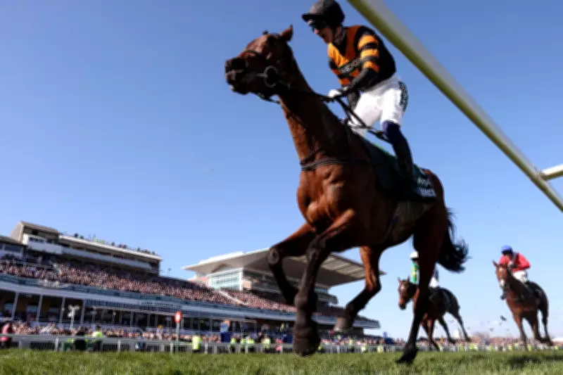 Grand National 2026: Date, Time, Runners, Odds and Aintree Festival Guide