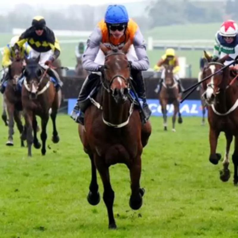 Grand National 2026: Expert's Three Aintree Picks Including 25-1 Outsider