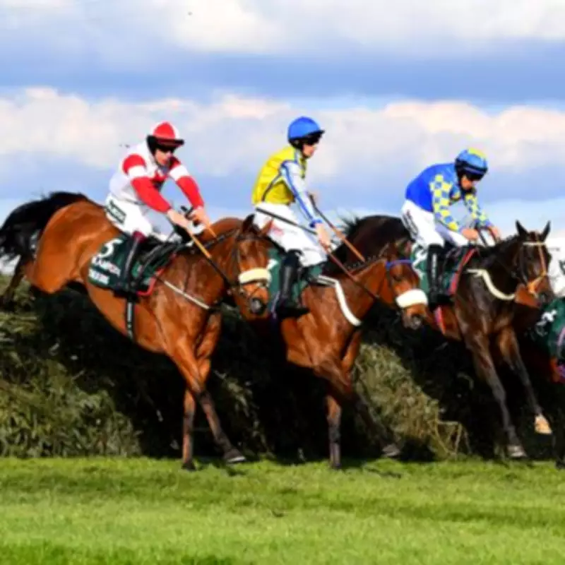 Grand National 2026: Full Horse Numbers and Jockey Colours Revealed