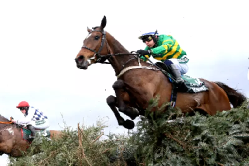 Grand National 2026: I Am Maximus Aims for Historic Red Rum Repeat at Aintree