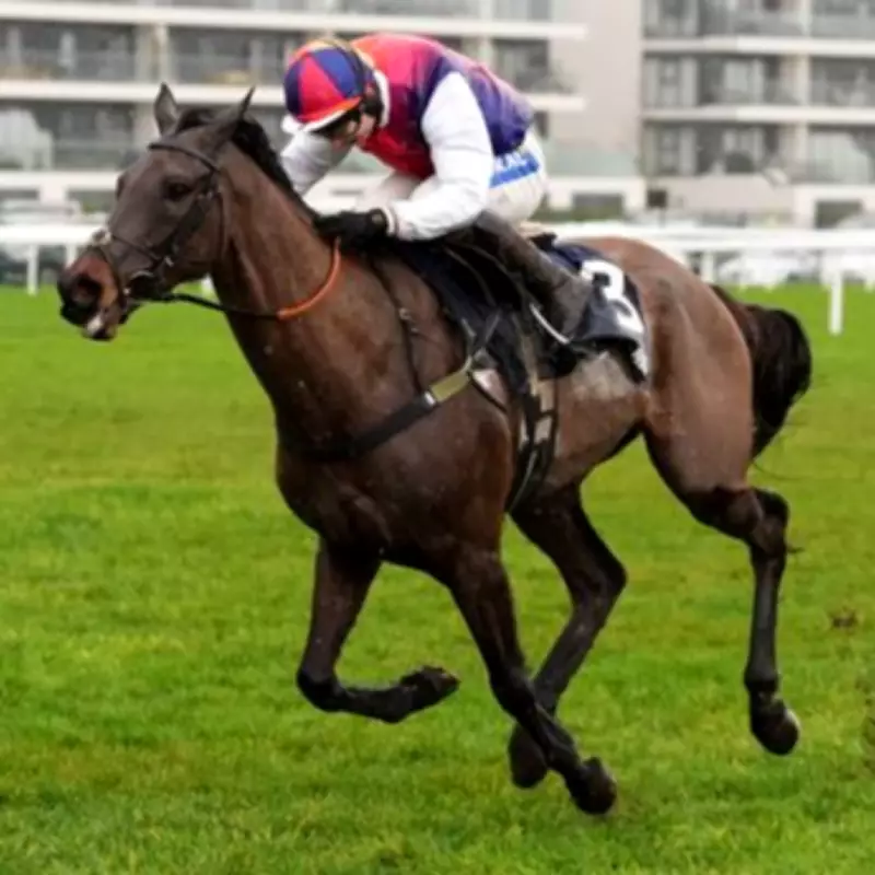 Grand National 2026 Prize Money Breakdown: Winner Takes £500,000