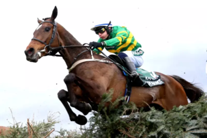 Grand National Betting Tips: Expert Picks for Aintree's Big Race Day
