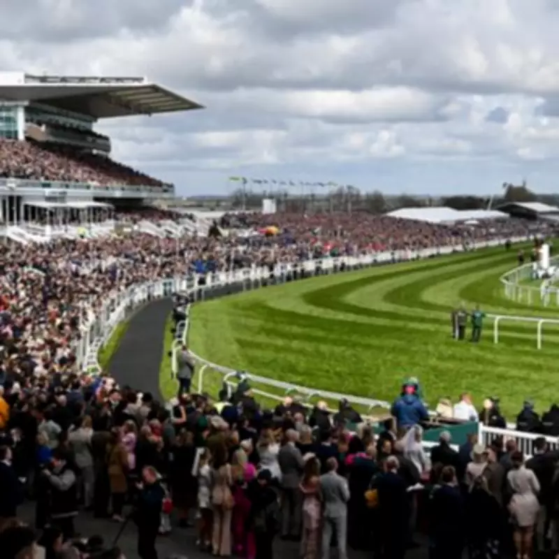 Grand National Day Two Tips: Newsboy's Expert Guide to Aintree Festival Races