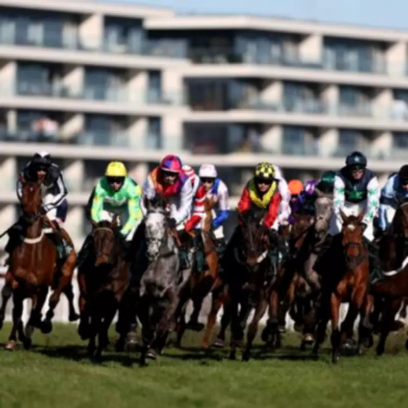 Grand National Fallers Update: Quai De Bourbon Home Safe, Mr Vango in Recovery