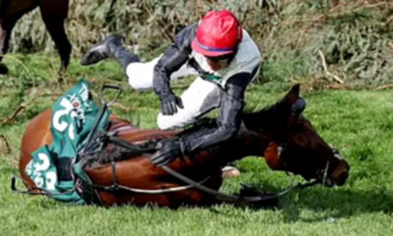 Grand National Jockey Banned for Riding Tired Horse to Final Fence Fall