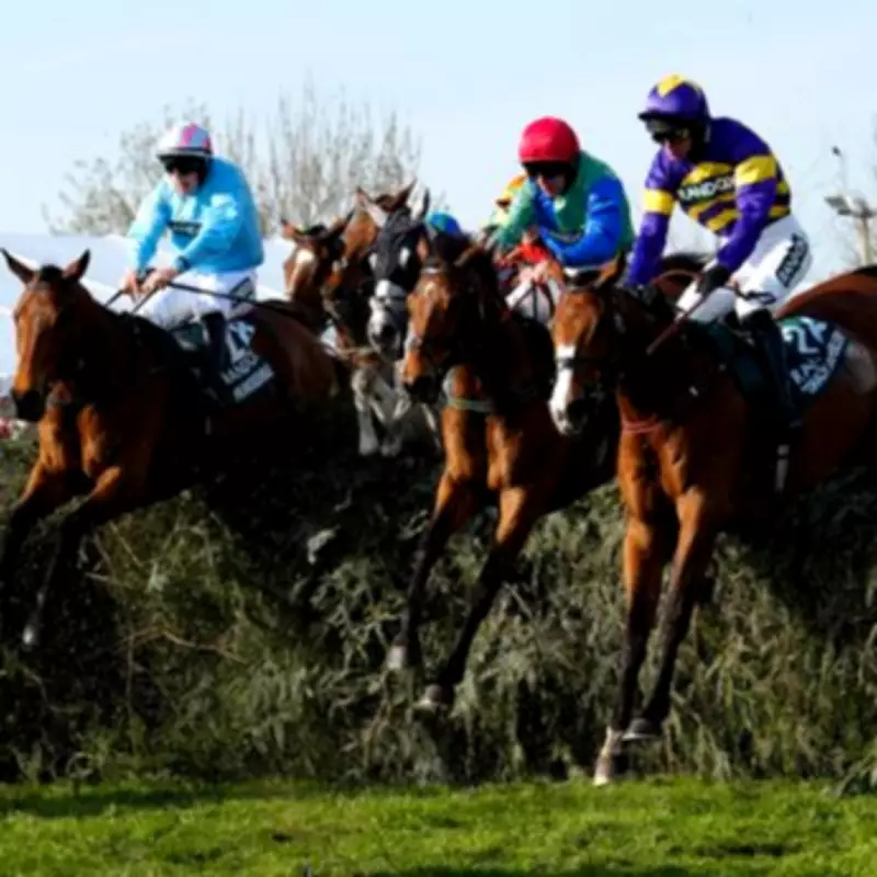 Grand National Tipping League Launches Safe Gambling App for Racing Fans