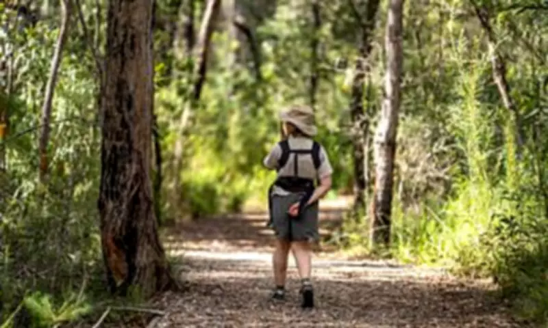 Grandmother's Snake Bite Ordeal: A Chilling Bushwalk Warning