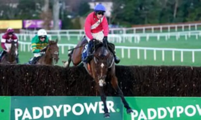 Grangeclare West Aims to Make Grand National History as Oldest Winner