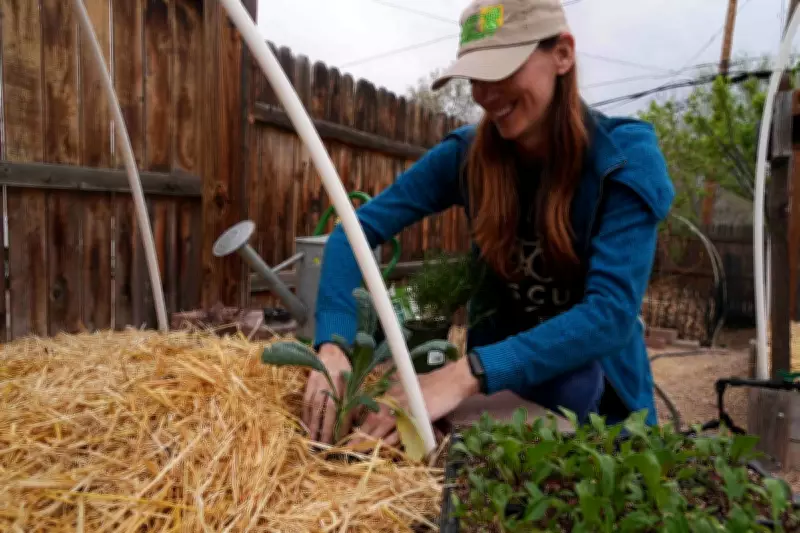 Grow Your Own Food With Less Water Even in a Drought