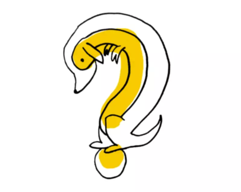 Guardian's Thursday News Quiz: Test Your Knowledge on Current Affairs