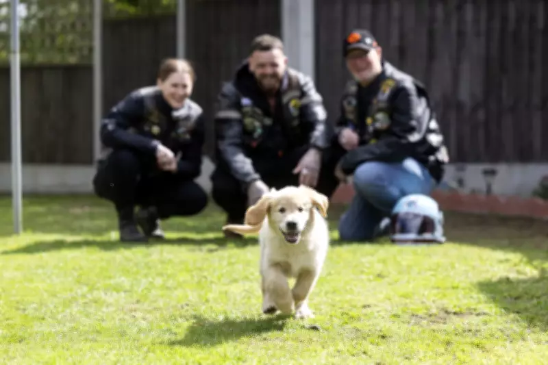 Guide Dogs Charity Seeks Biker Volunteers to Train Puppies for Real World
