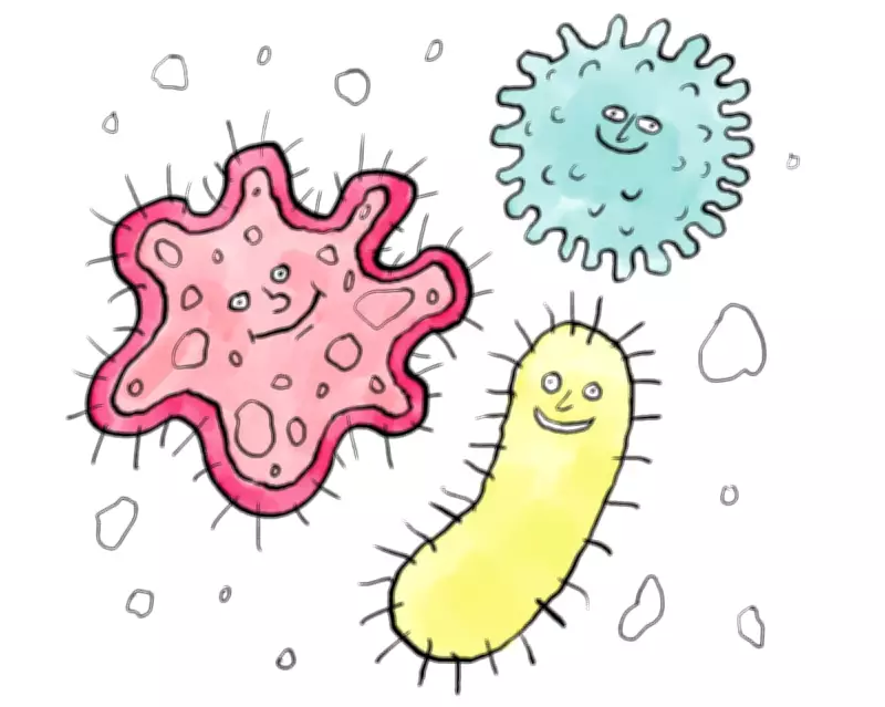 Gut Microbiome Diversity: Not a Simple Shield Against Illness, Scientists Warn