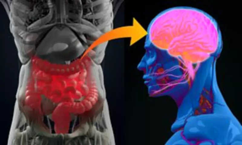 Gut Protein Changes Reveal Neurodegenerative Disease Risk Seven Years Early