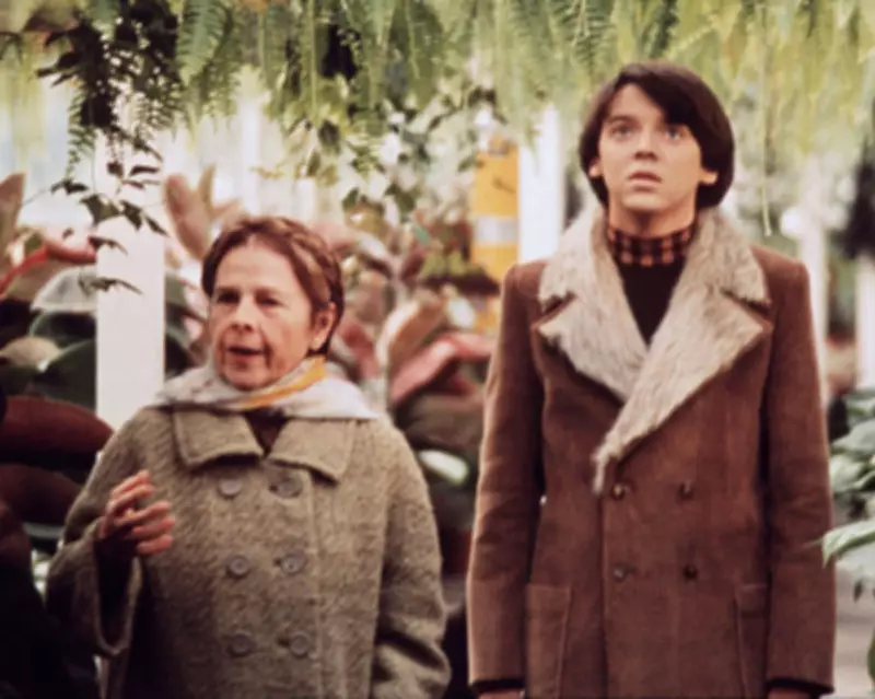 Harold and Maude: A Cult Classic's Enduring Message of Light in Darkness